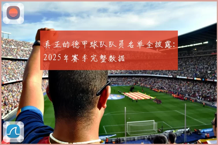 真正的德甲球队队员名单全披露:2025年赛季完整数据