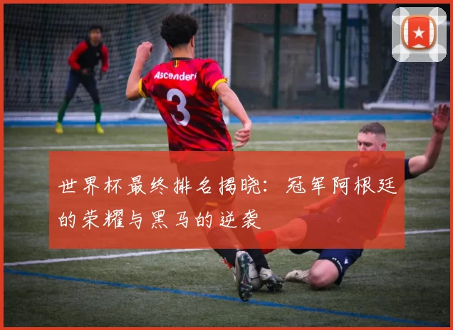 世界杯最终排名揭晓:冠军阿根廷的荣耀与黑马的逆袭