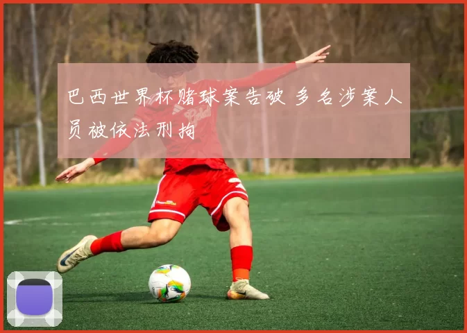 巴西世界杯赌球案告破 多名涉案人员被依法刑拘