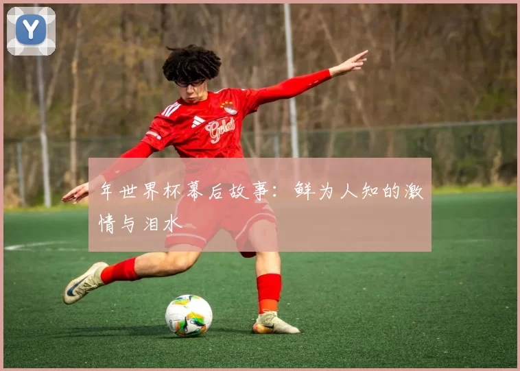 年世界杯幕后故事:鲜为人知的激情与泪水