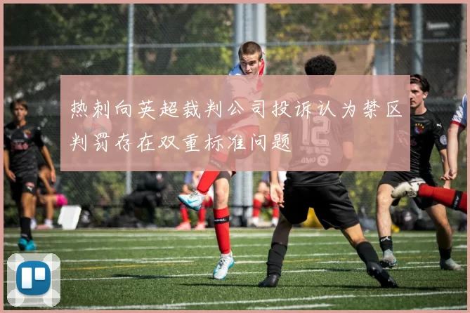 热刺向英超裁判公司投诉认为禁区判罚存在双重标准问题