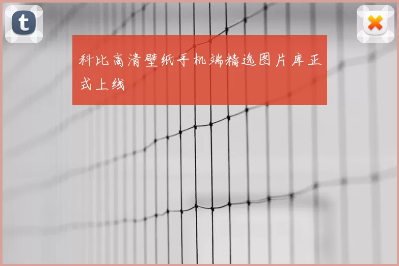 科比高清壁纸手机端精选图片库正式上线