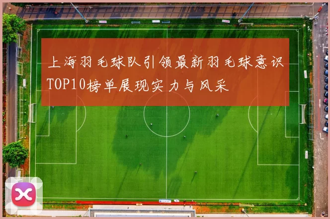 上海羽毛球队引领最新羽毛球意识TOP10榜单展现实力与风采