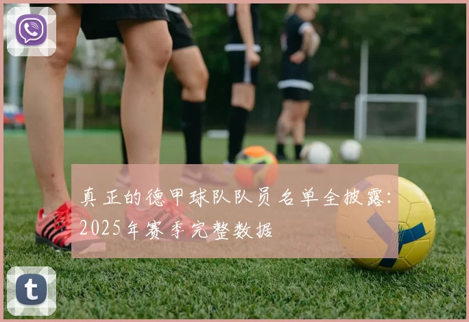 真正的德甲球队队员名单全披露：2025年赛季完整数据