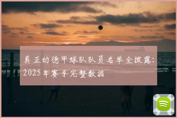 真正的德甲球队队员名单全披露:2025年赛季完整数据
