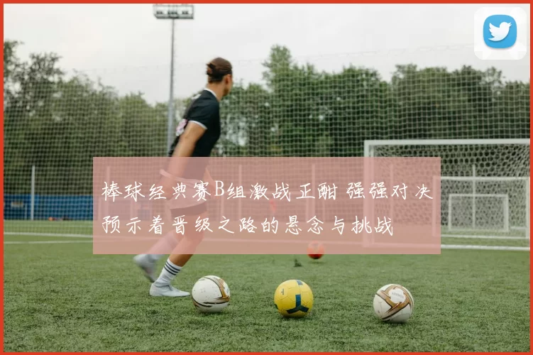 棒球经典赛B组激战正酣 强强对决预示着晋级之路的悬念与挑战