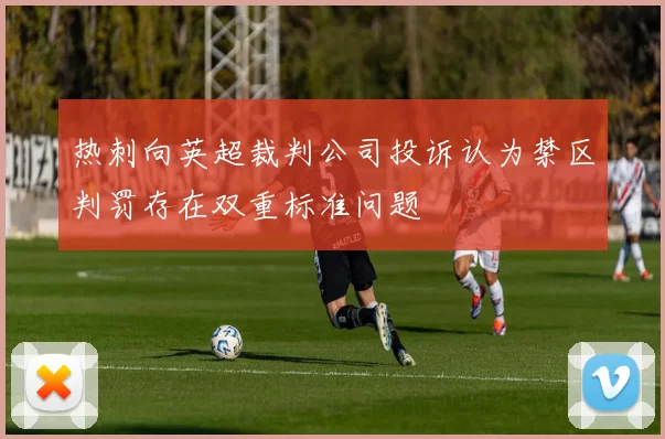 热刺向英超裁判公司投诉认为禁区判罚存在双重标准问题
