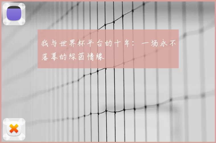 我与世界杯平台的十年:一场永不落幕的绿茵情缘