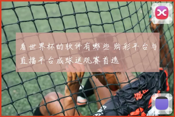 看世界杯的软件有哪些 购彩平台与直播平台成球迷观赛首选