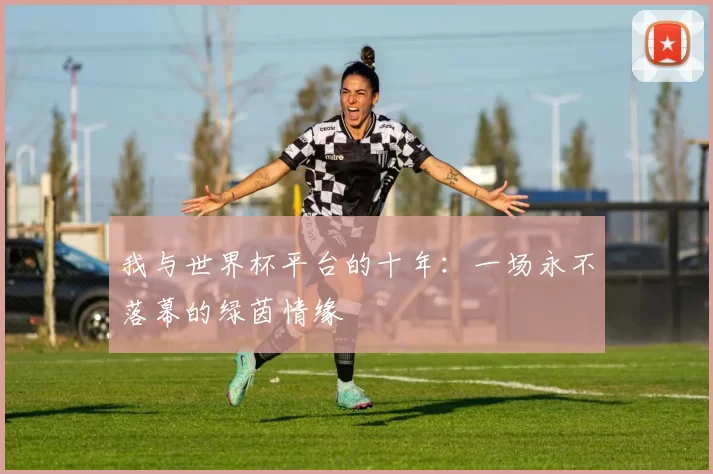 我与世界杯平台的十年:一场永不落幕的绿茵情缘