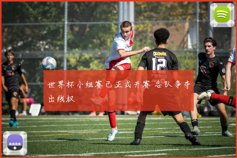 世界杯小组赛已正式开赛 各队争夺出线权