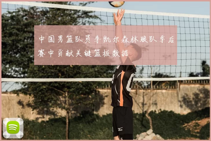 中国男篮队员李凯尔森林狼队季后赛中贡献关键篮板数据