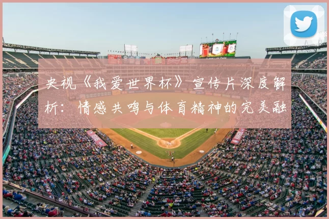 央视《我爱世界杯》宣传片深度解析:情感共鸣与体育精神的完美融合