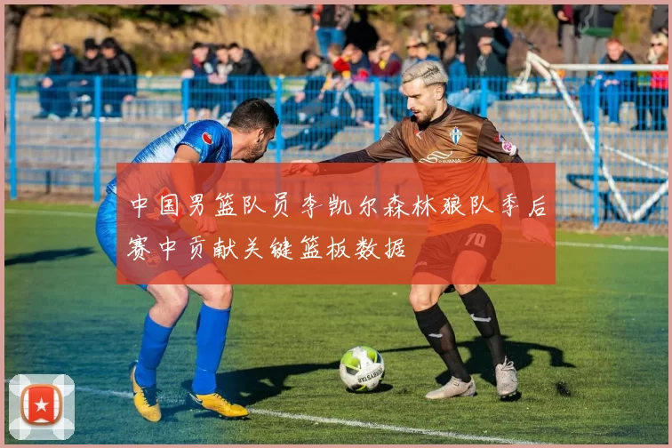 中国男篮队员李凯尔森林狼队季后赛中贡献关键篮板数据