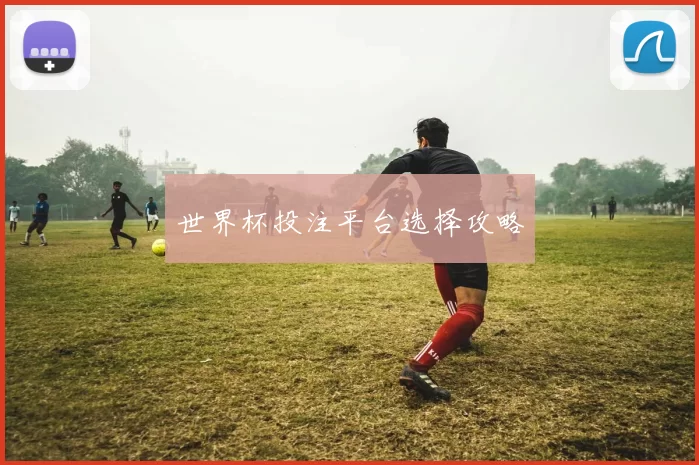 世界杯投注平台选择攻略