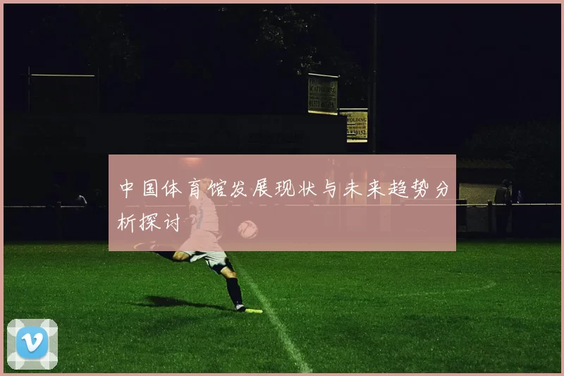 中国体育馆发展现状与未来趋势分析探讨