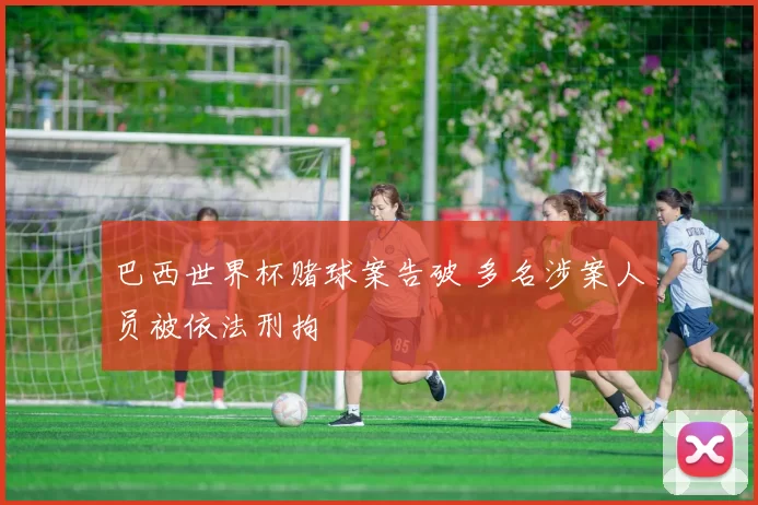 巴西世界杯赌球案告破 多名涉案人员被依法刑拘